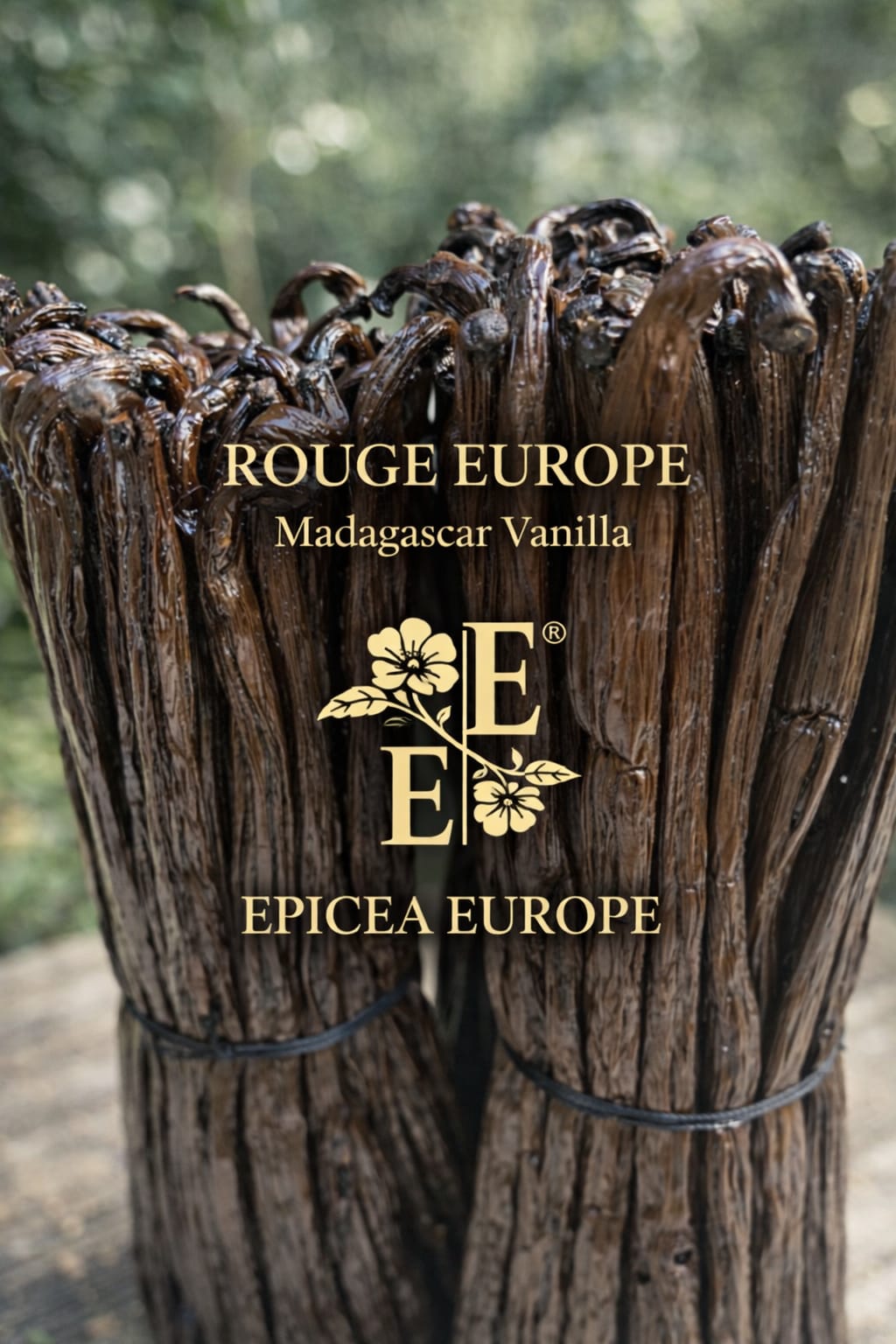 Vanilla beans – Red Europe